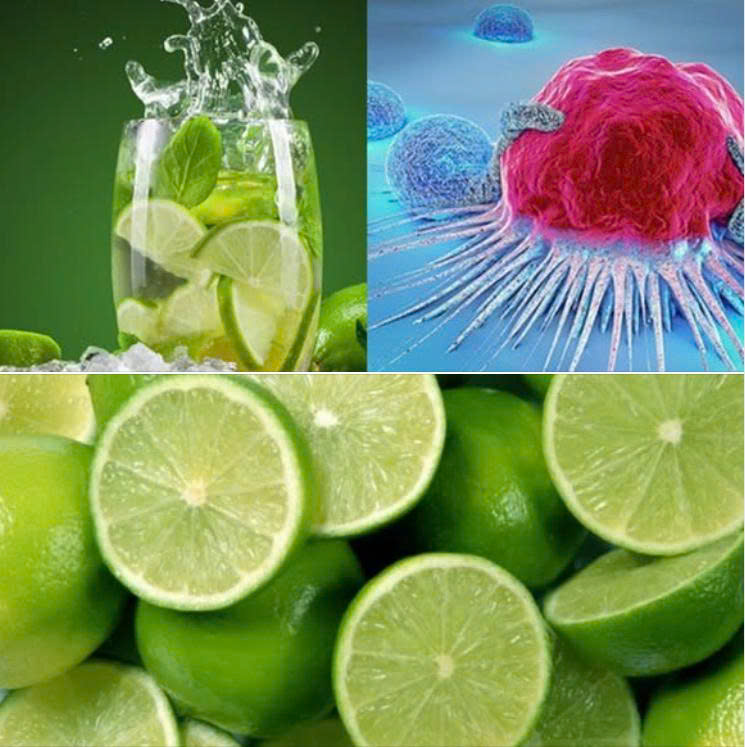 Chanh có thể chữa được 12 loại ung thư, mạnh gấp 10.000 lần hóa trị? Uống nước chanh có thể chống ung thư? Nói với bạn sự thật