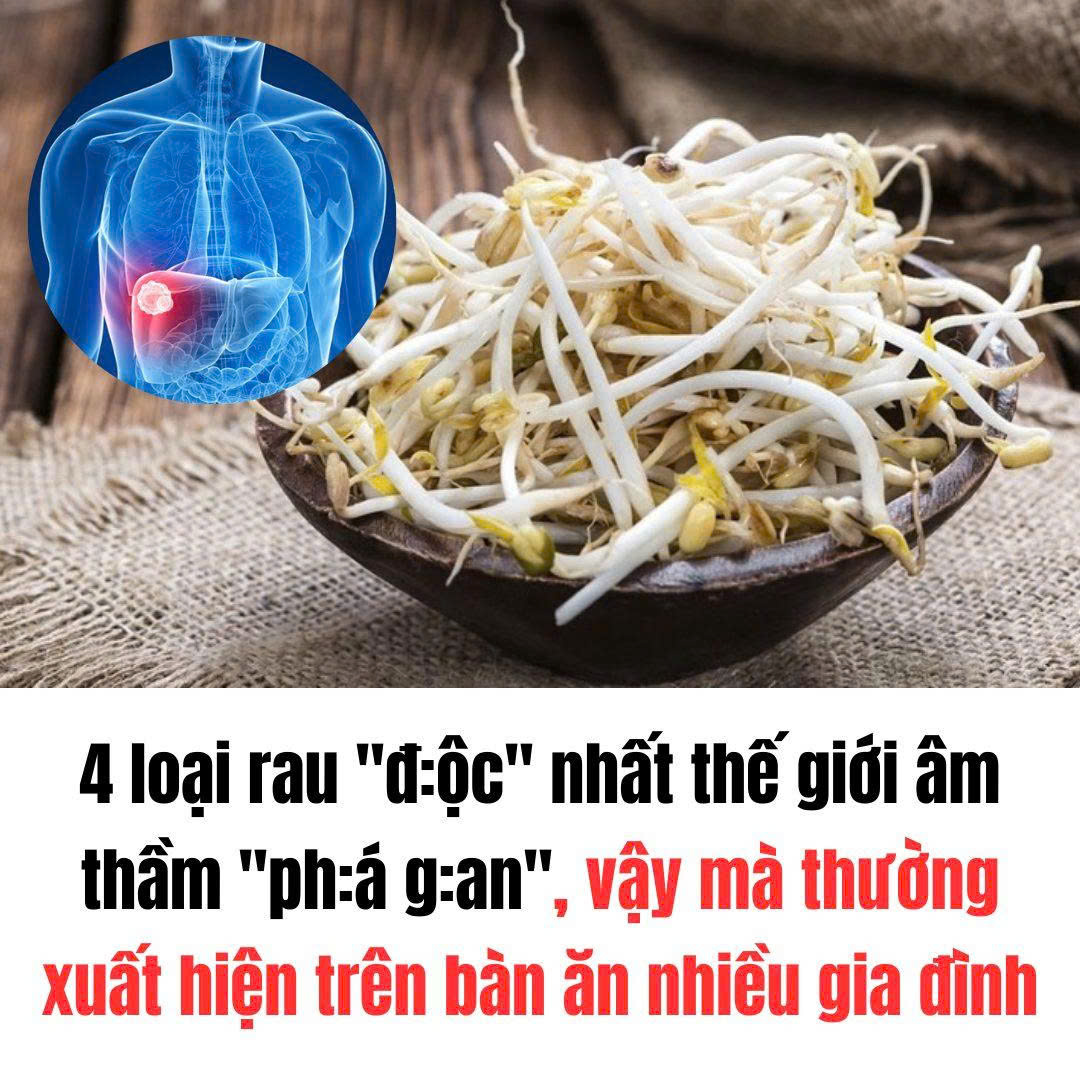 4 loại rau “độc” nhất thế giới âm thầm “phá gan”, vậy mà thường xuất hiện trên bàn ăn nhiều gia đình